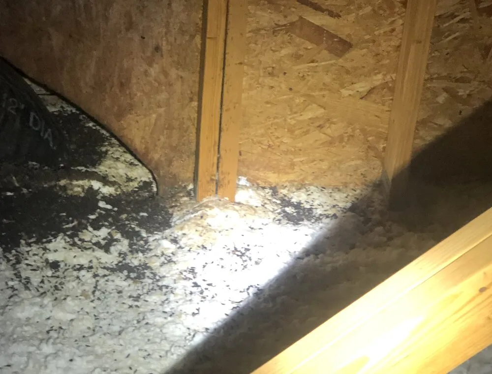 Bright light on attic insulation beneath wooden framing