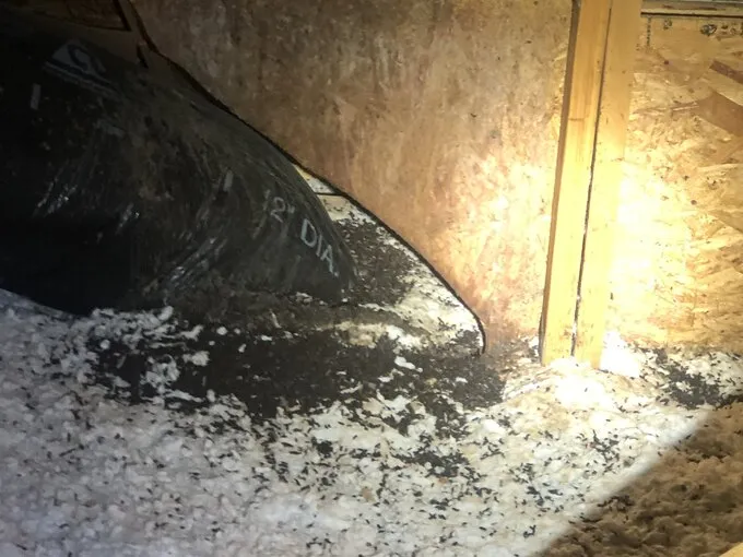 Attic insulation and roof framing around a dark opening